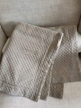 Restoration hardware set of 2 decorative Shams pillow cases XL